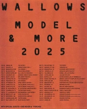 Poster Wallows Model & More Tour 2025 Poster, gift for fans