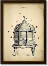 Vintage Antique Beehive Honey Bee Illustration Art Print for Apiary Enthusiast W