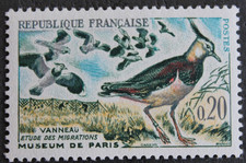 Timbre - FRANCE - Oiseau, VANNEAU - 1960 - Neuf ** - YT1273