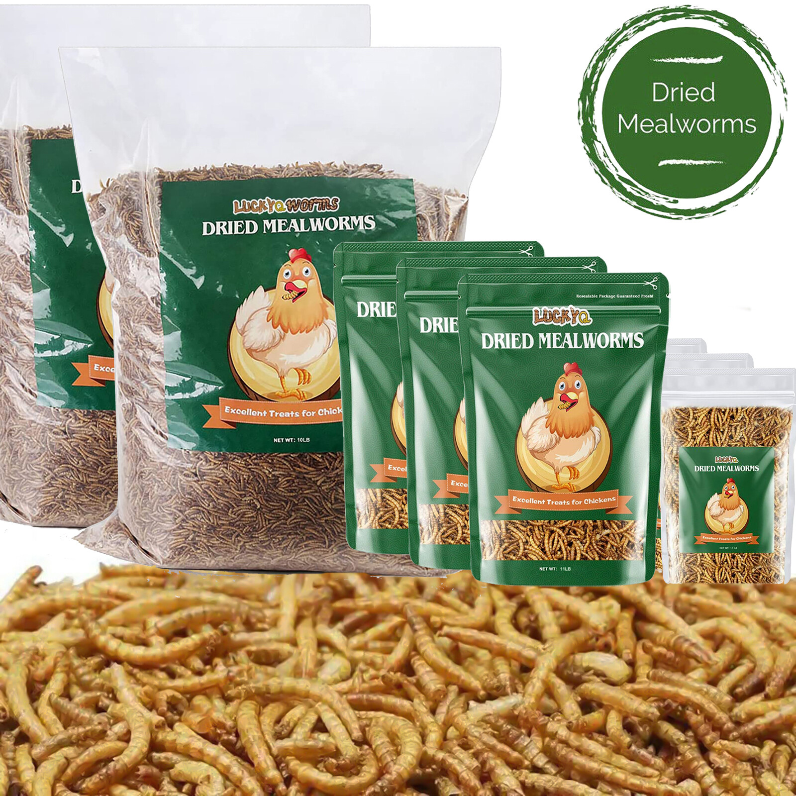 Premium Mealworms Wild Bird Food Dried High-Protein Non-GMO 