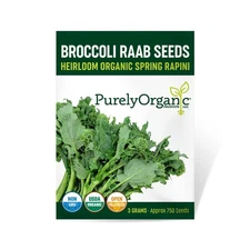 Organic Broccoli Raab Seeds (Spring Rapini) - Approx 750 Seeds - USDA Organic...