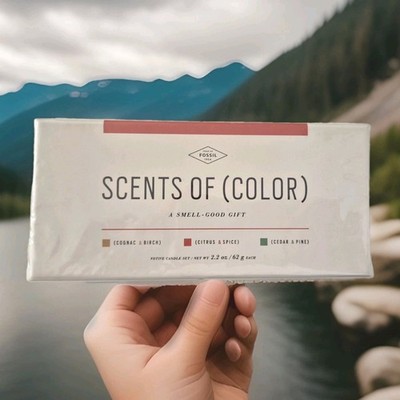 Fossil Scents of Color 3 Kerzen 3x 62g / Cognac&Birch/ Citrus& Spice/ Cedar&Pine