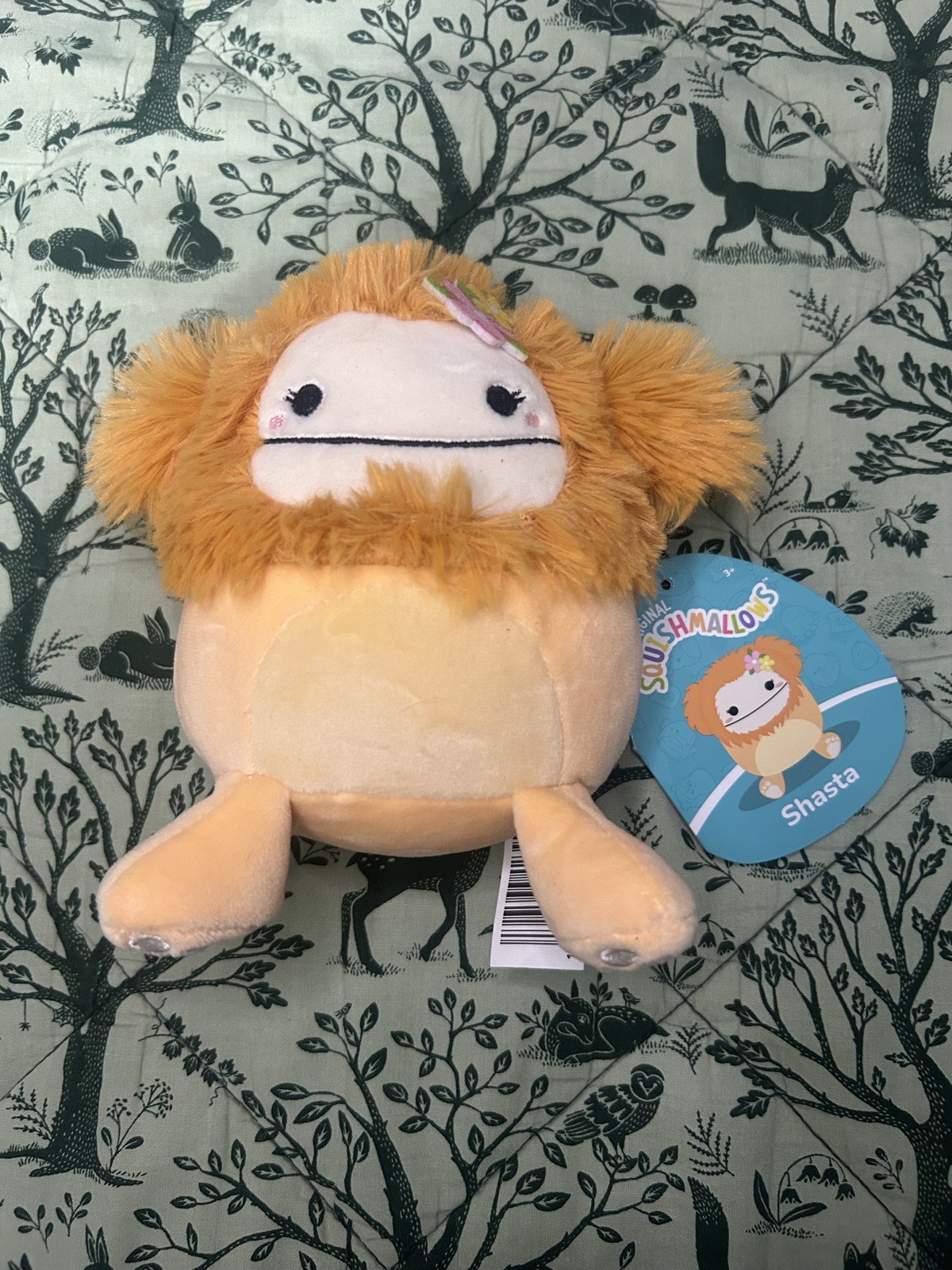 Shasta The Orange Bigfoot Squishmallows Set Of 3 Stuff Plush Bnwt 3.5 , 5 , 12 