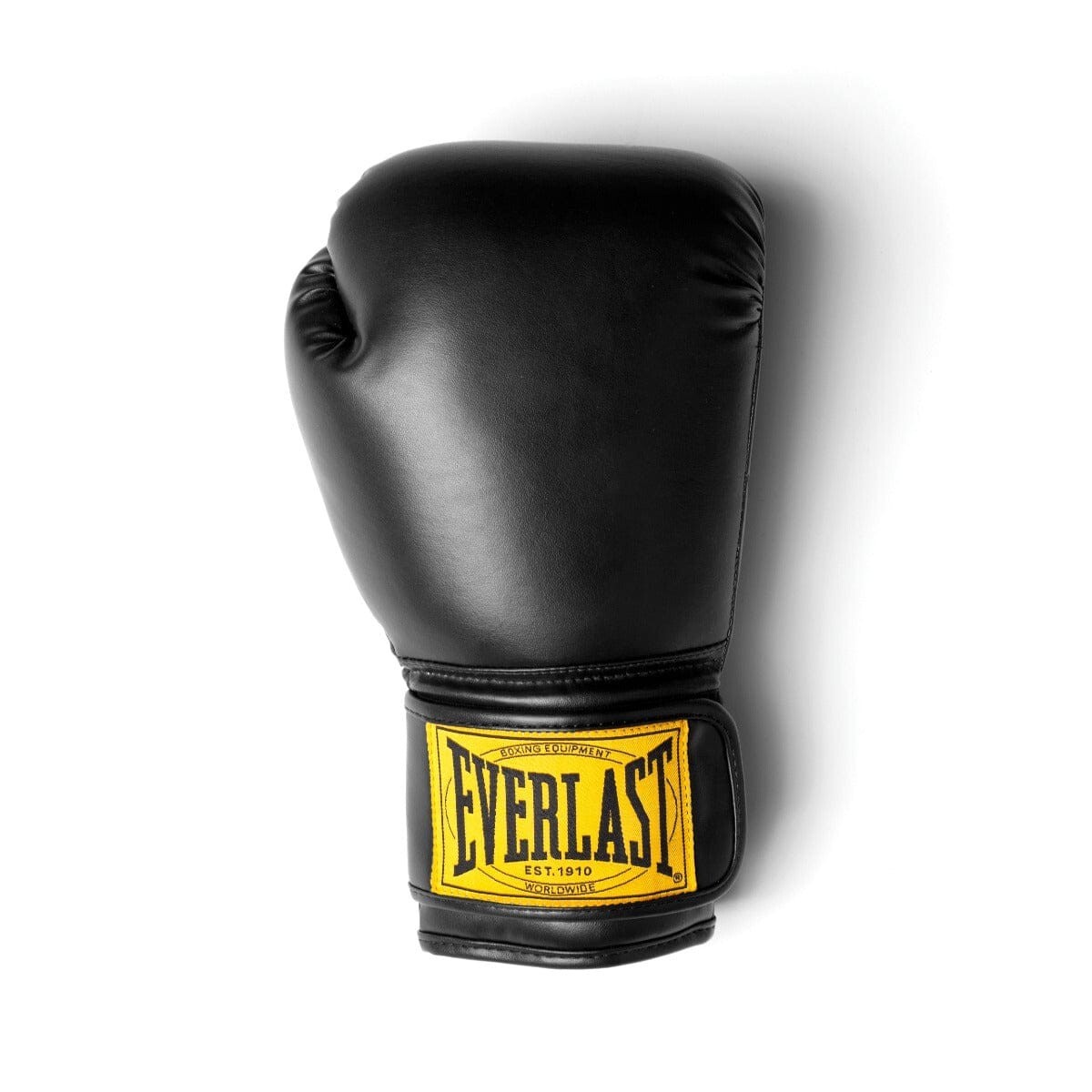 Everlast 1910 Classic Boxing Gloves hook & loop sparring/Training