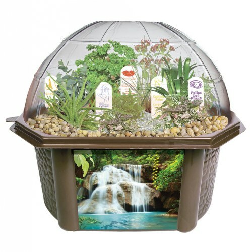 DuneCraft Dome Terrariums Exotic and Fun Plants From Around The World