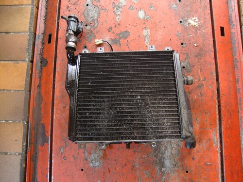 ZX10 Tomcat Kühler Wasserkühler Lüftermotor ZXT00B Kühler Wasserkühler Motor