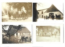XX3236/ 4 x Foto AK  Pferde ca.1910-20