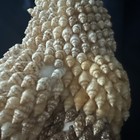 VTG Seashell Encrusted Owl Figurine Shell Art 5.5" Tall Folk Art — photo 6