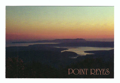 Point Reyes California Sunset Vintage Postcard