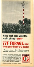 1968 Print Ad of Funk's G Hybrid 77F Forage Sorghum Seed