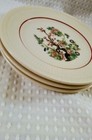 Shenango Staffordshire Restaurant Ware  Indian Tree Bread Plates — photo 5