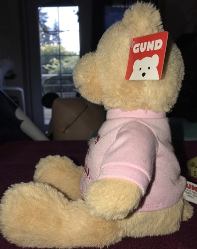 Gund Bear Hugs It's A Girl Stofftier Plüschtier rosa bestickt T-Shirt 12 Zoll - Bild 4 von 11