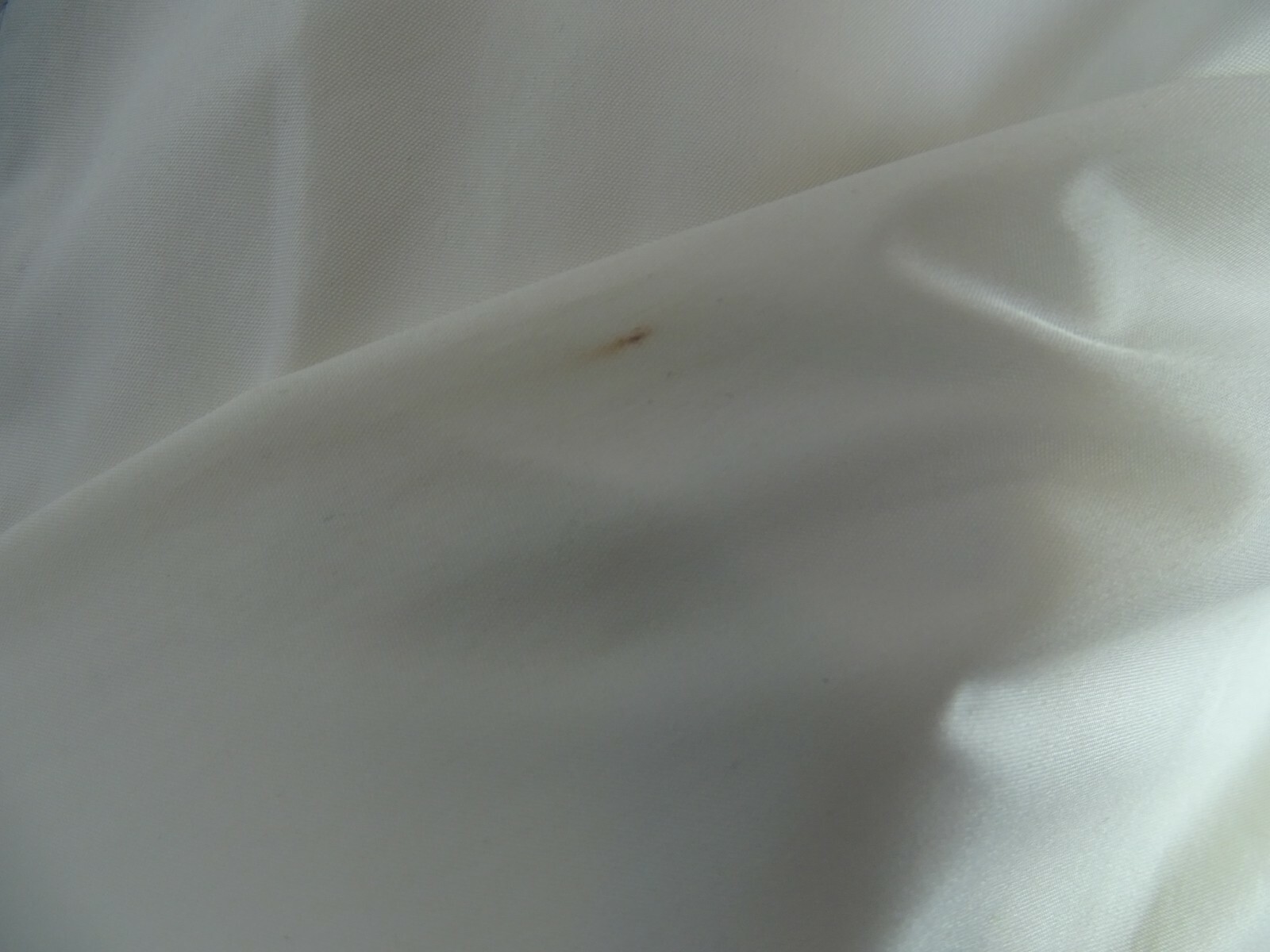 Picture 7 of 12