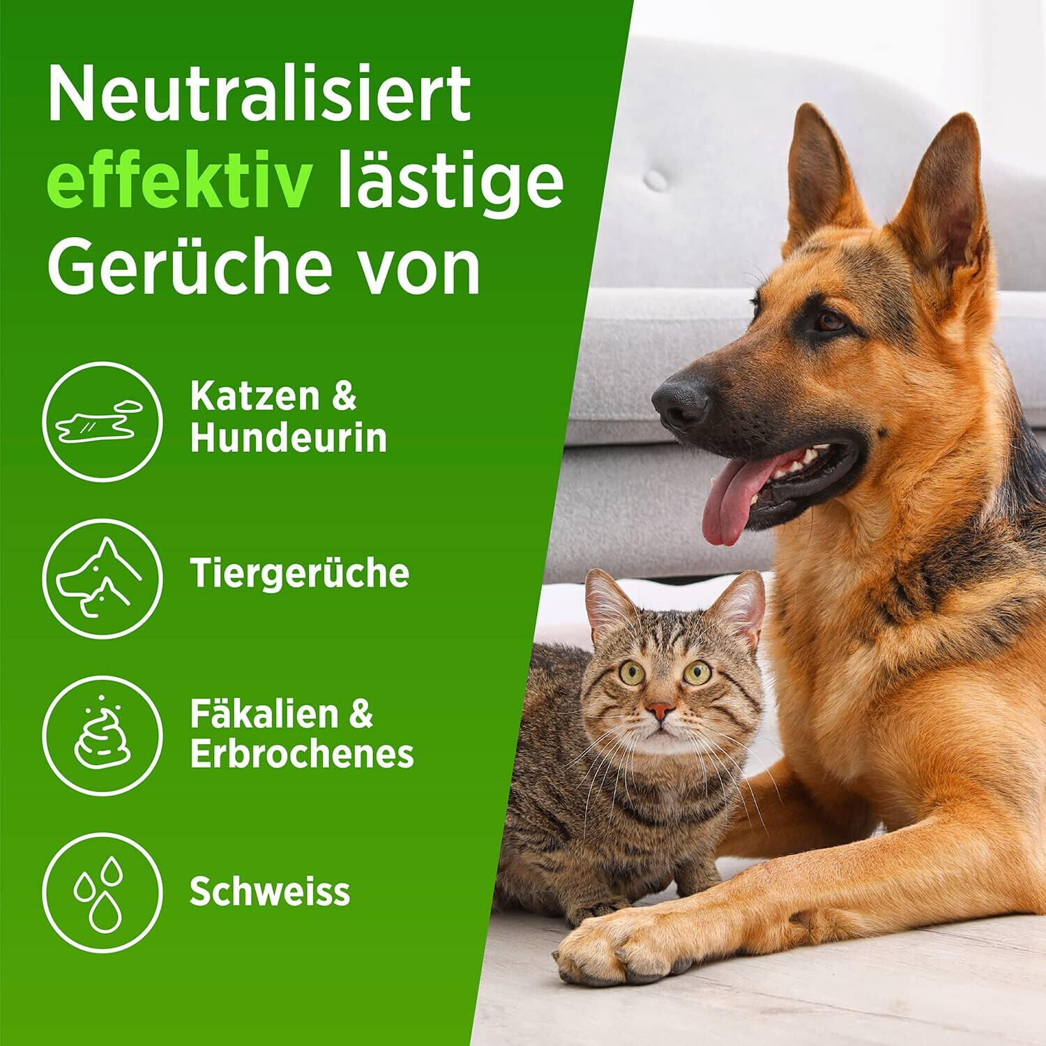 Bild 4 von 8
