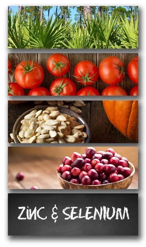 Trunature PROSTATE PLUS HEALTH COMPLEX - Pack of 2 Saw Palmetto with Zinc - Image 4 of 4