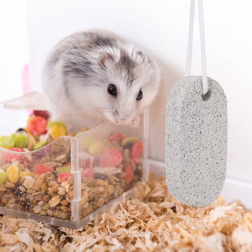 2 Stück Haustier Zähne Schleifstein Calcium Mineral 9x4,5CM Haustier Backenzähne Stein für Maus - Bild 7 von 12
