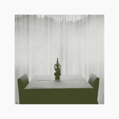 Joana Gama Luis Fernandes At The Still Point Of The Turning World Ambient Room40