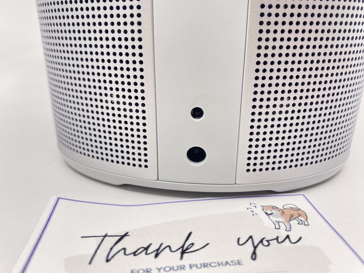 Bose Home Speaker 300 Silver Bluetooth/ Wi-Fi/Alexa Smart Speaker