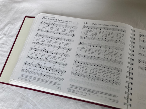 Glory to God: Begleitausgabe Band 1 & 2 Lord's Day Music + Hymnen 1-853 - Bild 16 von 24