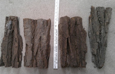 Cottonwood Bark For Carving 14" LONG ; 2" THICK : SEE PICS FOR EXACT PIECES - 1