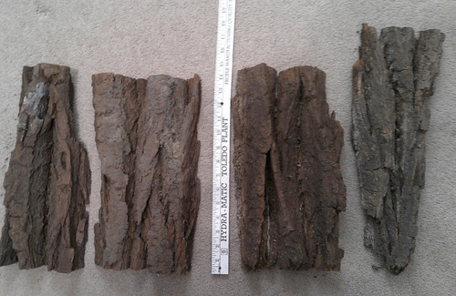 Cottonwood Bark For Carving  14" LONG ; 2" THICK : SEE PICS FOR EXACT PIECES -#1