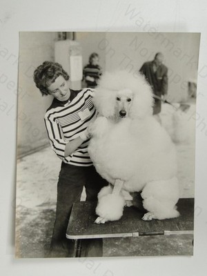 Maureen Kallos Frembank Pudel LKA Championship Show Olympia 1977 Foto