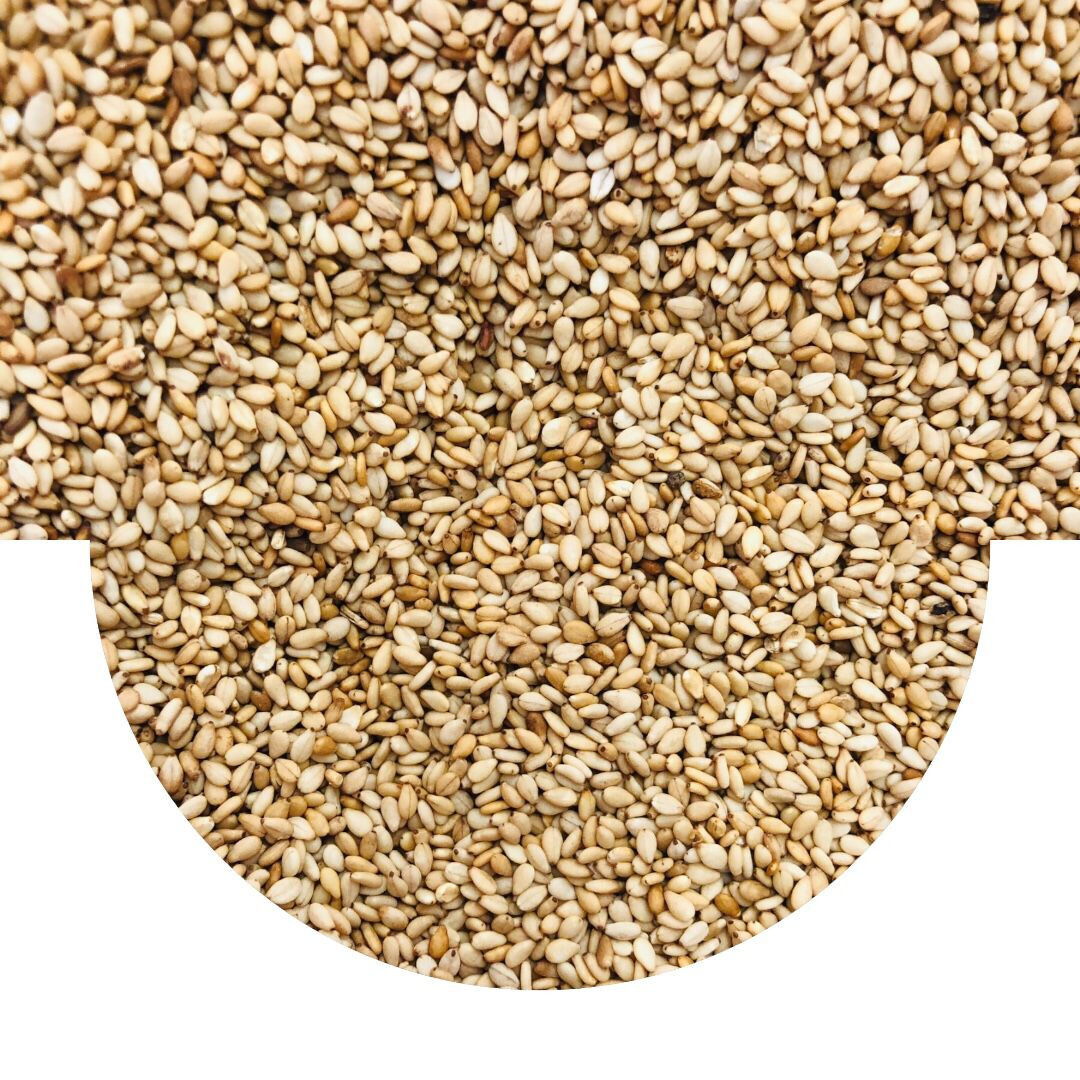 Sesam saat natur, geröste , 500gr , Deutschland geröstet , Sesamen gold top