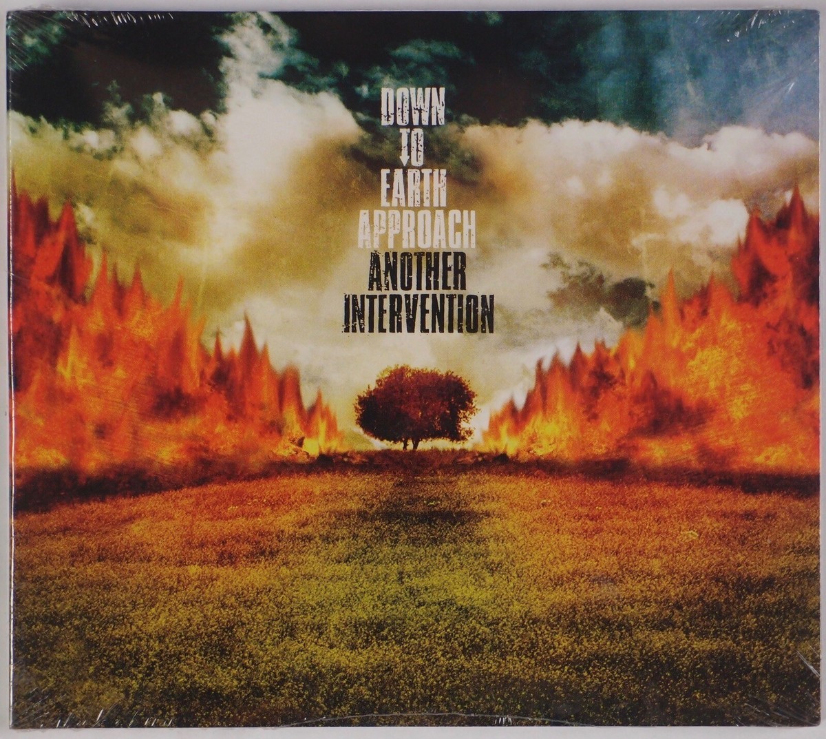 DOWN TO EARTH APPROACH: Another Intervention 2004 Vagrant Punk