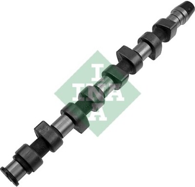INA 428 0068 10 Camshaft for Audi, Seat, Skoda, VW