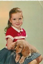 COCKER  SPANIEL      * DOG * Postkarte  Postcard  # 22   RARE