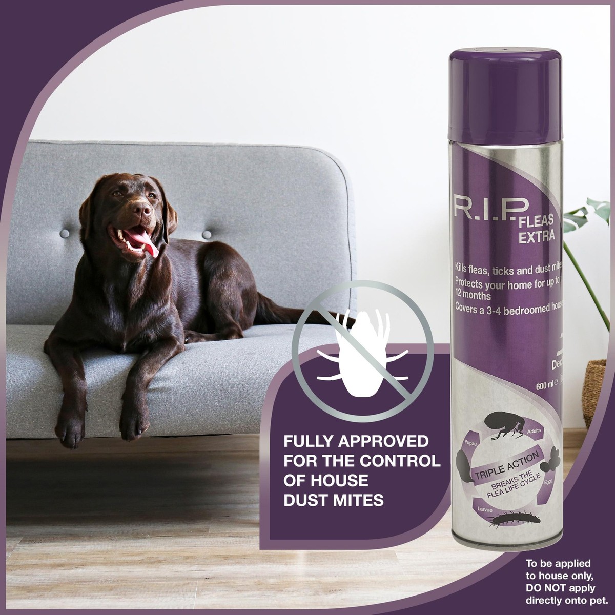 Dechra RIP Fleas Extra Environmental Flea Spray
