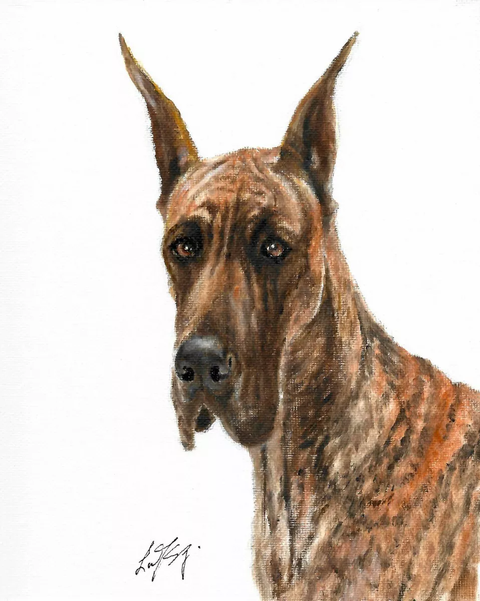 Great dane sale artwork