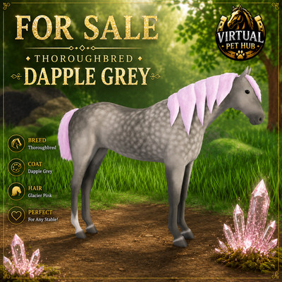 Wild Horse Islands - Thoroughbred IUH - Glacier Pink - Dapple Grey Coat -