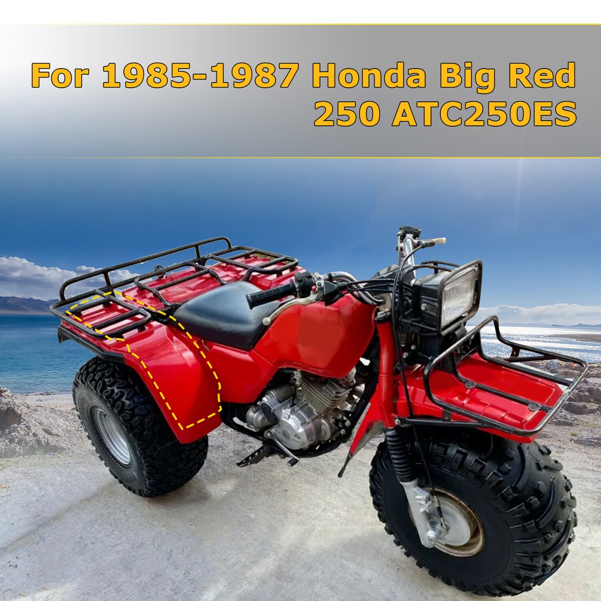 s-l1200.jpg