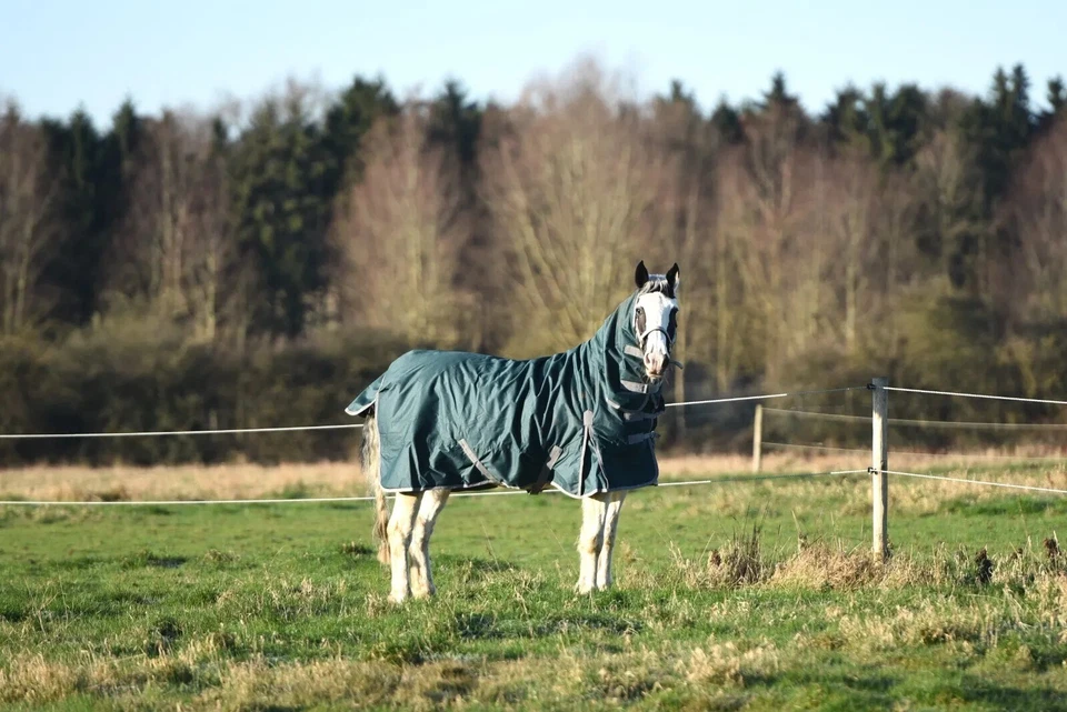 AUTUMNN EQUESTRIAN PFERDE WEIDEDECKE GEWICHT 200G MITTEL WASSERDICHT 600D KOMBI HALSWEIDEDECKE