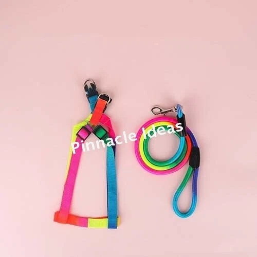 Nylon Puppy Training Lead Leash Recall Rope Obedience Long Slip Walk Adjustable