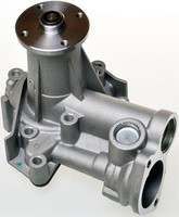 Denckermann Wasserpumpe A310206P