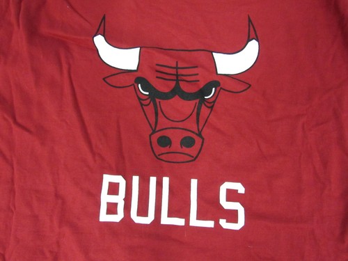 Nueva Camisa Majestuosa Gris Chicago Bulls Para Hombres Tallas 3XL-4XL-5XL-6XL-Alto - Imagen 2 de 6