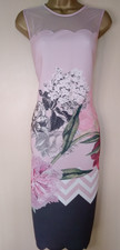 Stunning Ted Baker Arionah Palace Gardens Pink Dress Size 4 (14)