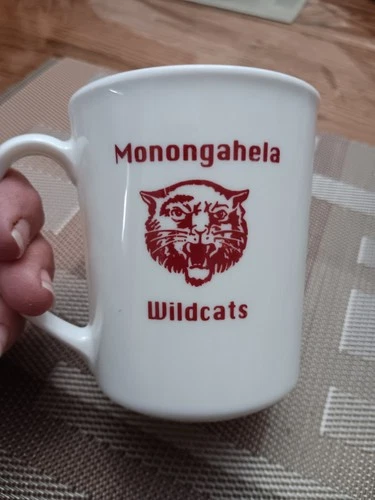 Vintage Monongahela Pa Wildcats Mug Cup Corning Pyrex HTF 1994 Class Reunion