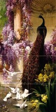 A peacock and doves in a Garden Tile Mural Kitchen Bathroom Backsplash 8.5x17