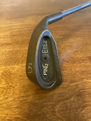 名器】 MOON VALLEY刻印付 PING EYE2＋ BECU Back to Life: Ping