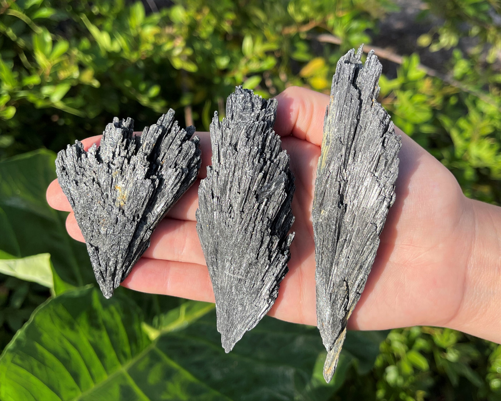 Black Kyanite Blades, Large 1 - 5" Natural Crystals: Choose Size (Kyanite Fan)