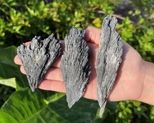 Black Kyanite Blades, Large 1 - 5" Natural Crystals: Choose Size (Kyanite Fan)
