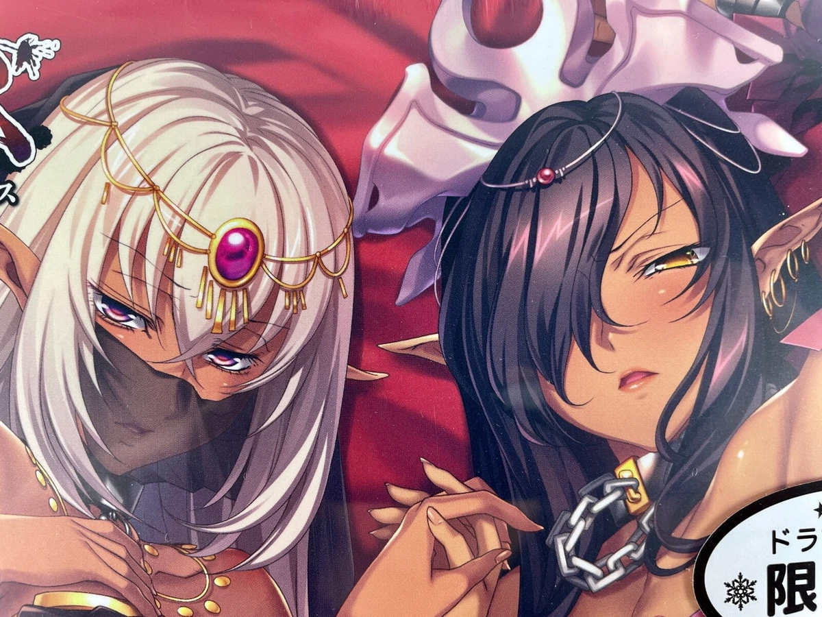 Kuroinu series artworks