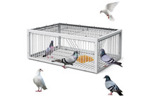 Pigeon Trap Cage Bird Traps for Small Birds Folding One-Way Entrance Trapping...