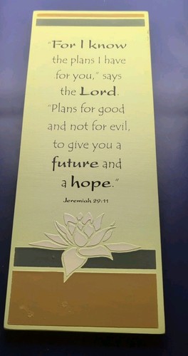Jeremiah 29:11 Plawue For I Know The Plans I Have For You 12x4.75 - 第 1/2 張圖片