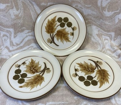 Vintage Denby Cotswold Brown Leaf Dinner Plates 9.75  Set Of 3 - Beautiful Shape