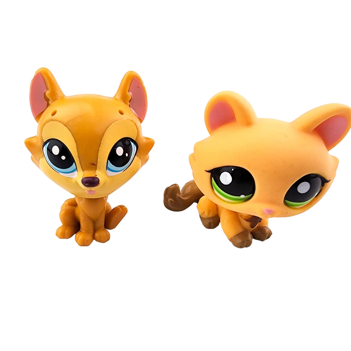Shiba inu pet store cheap
