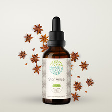 HerbEra Star Anise Alcohol-FREE Tincture, Organic Star Anise Illicium verum